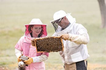 beesafarichildren