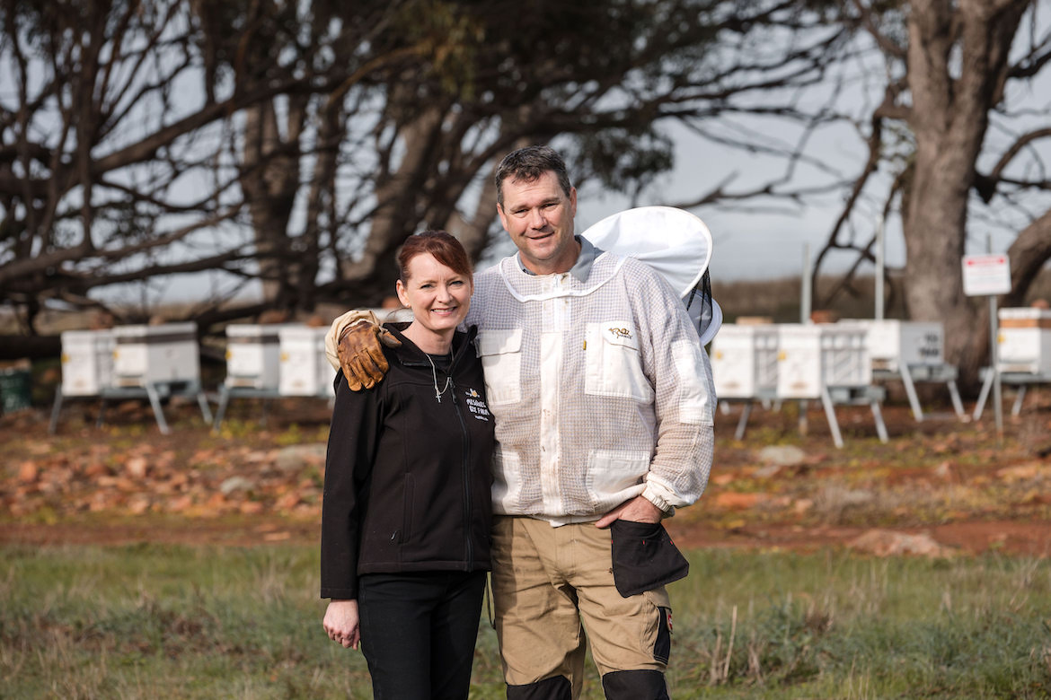 Bee workshops