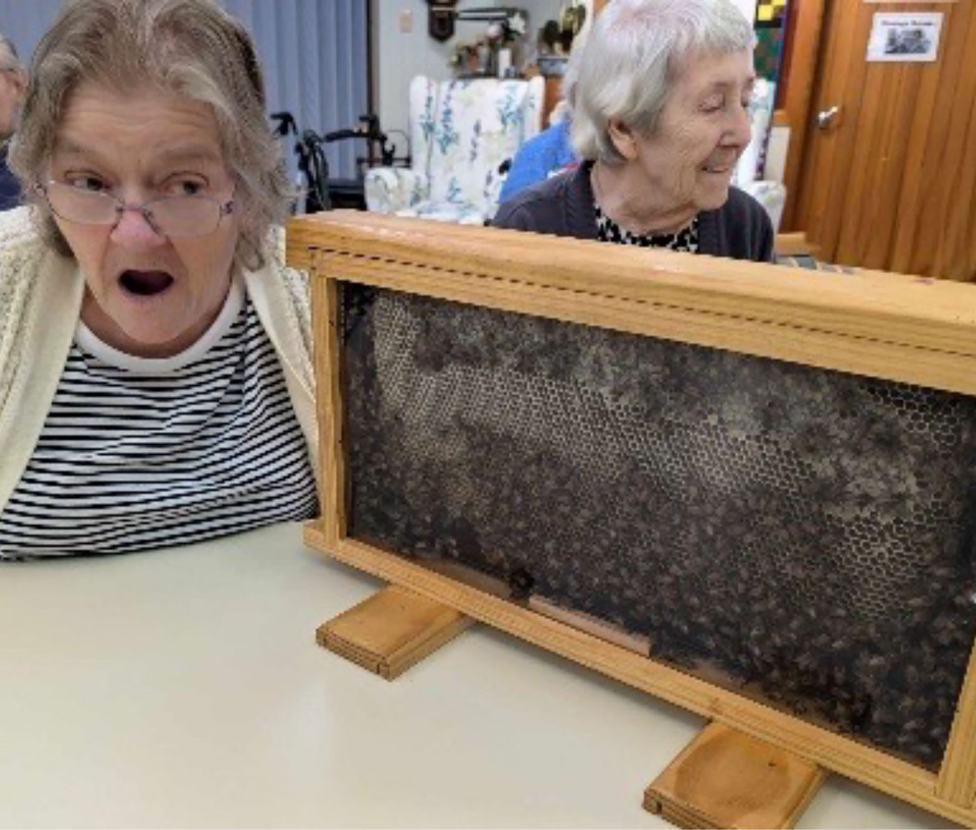 All about bees - Children